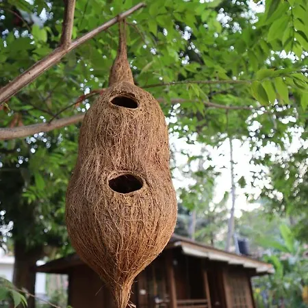 Greenchromide Homestays Mundrothuruth Exterior photo