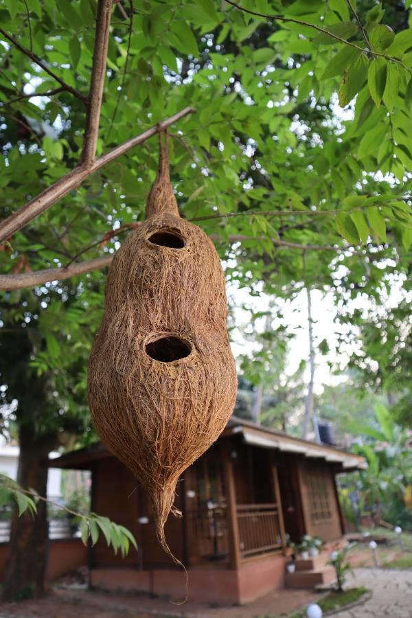 Greenchromide Homestay *