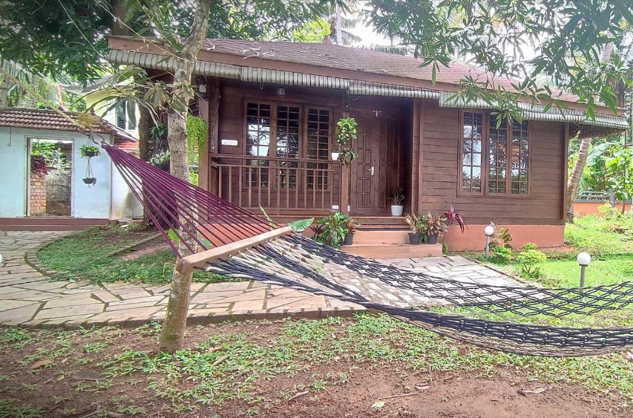 Homestay Greenchromide