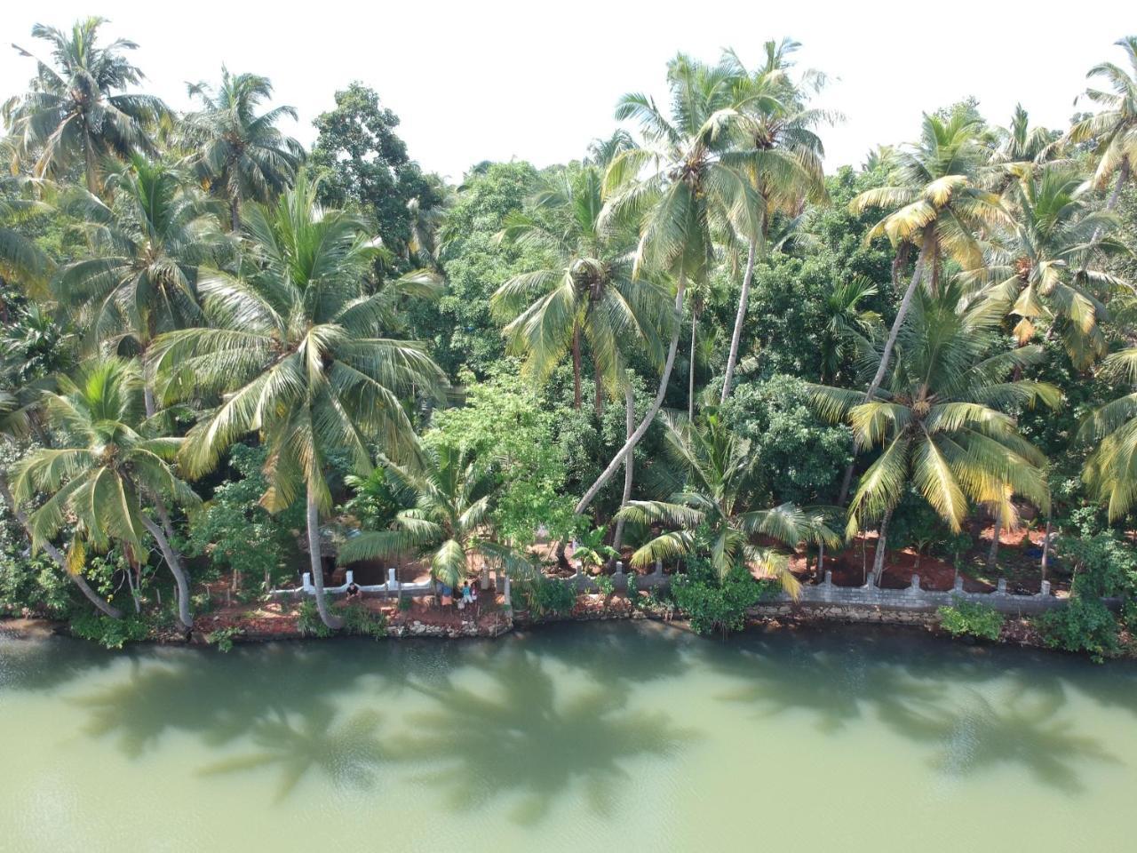 Greenchromide Homestay